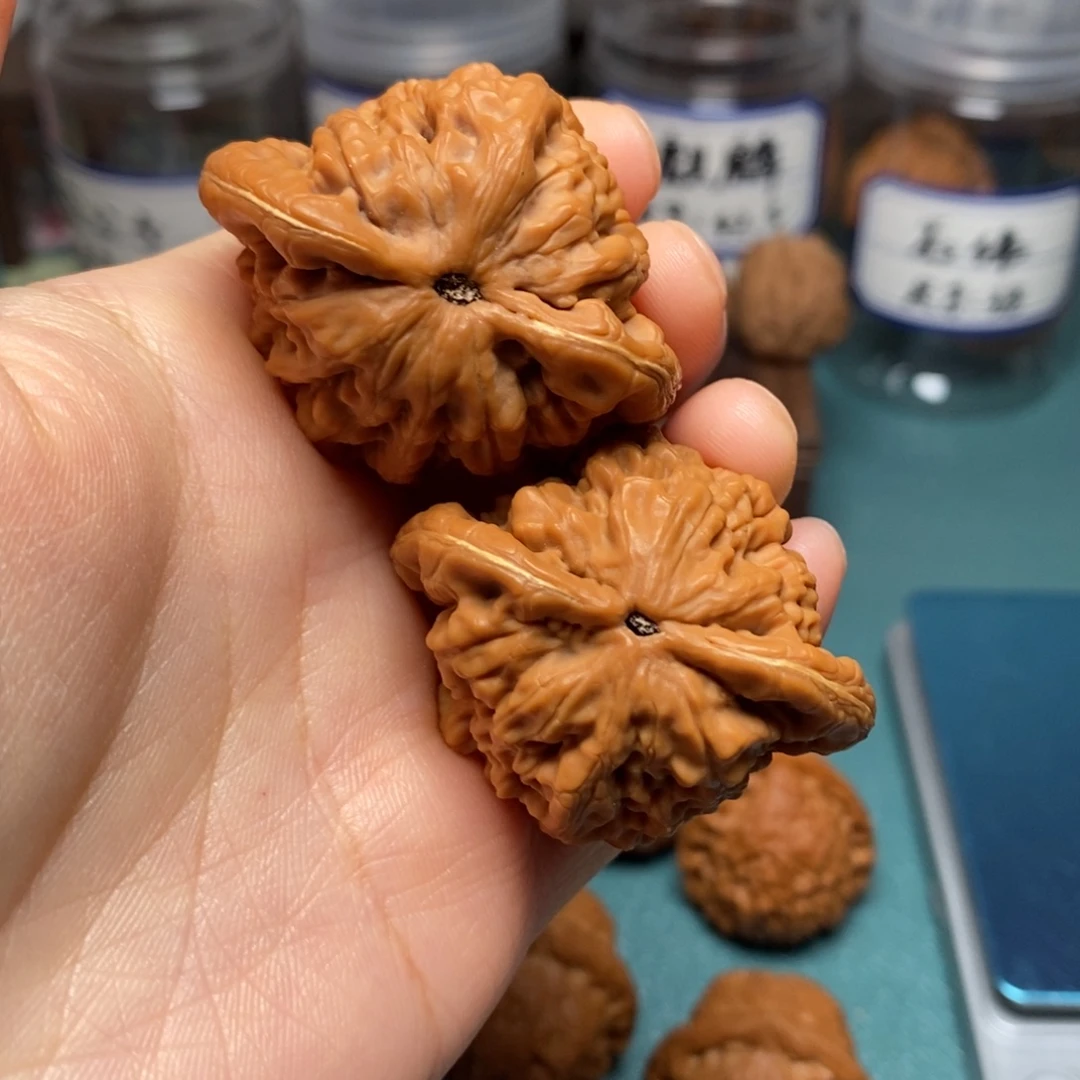 核桃43尺金公子微修