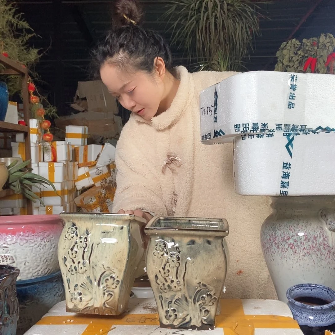 红陶花盆里栽松了
