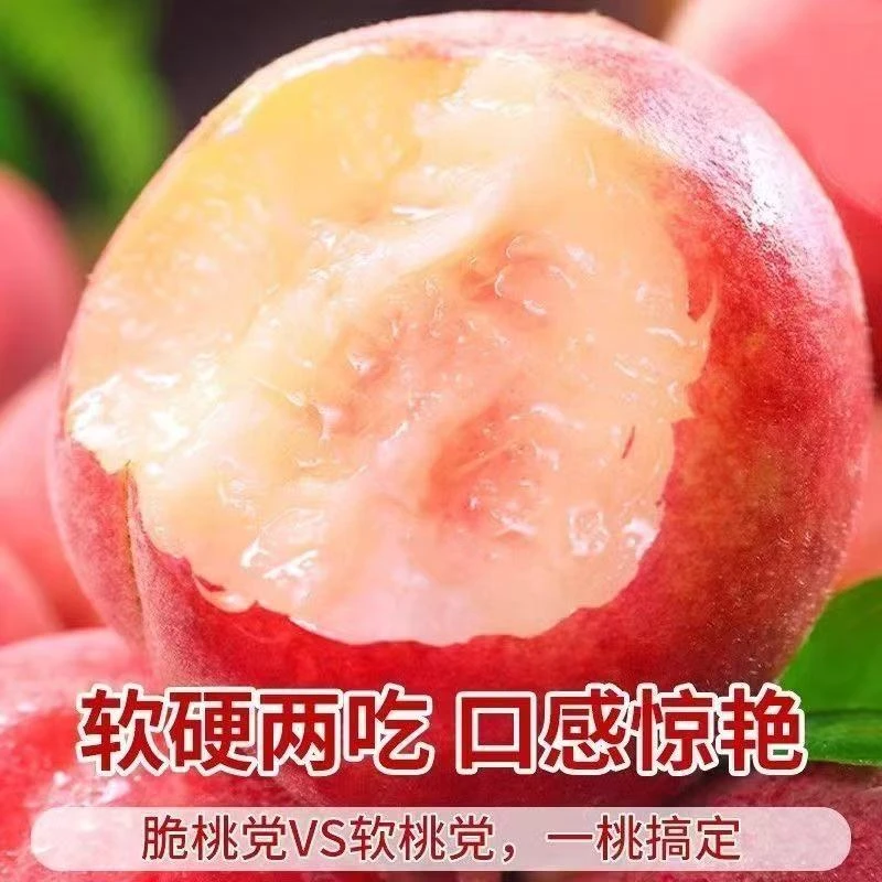 湖北脆桃新鲜现摘当季水果孕妇可食脆甜多汁