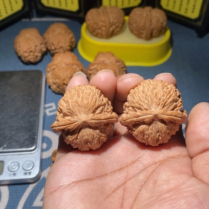 文玩核桃把件白乌龟3939