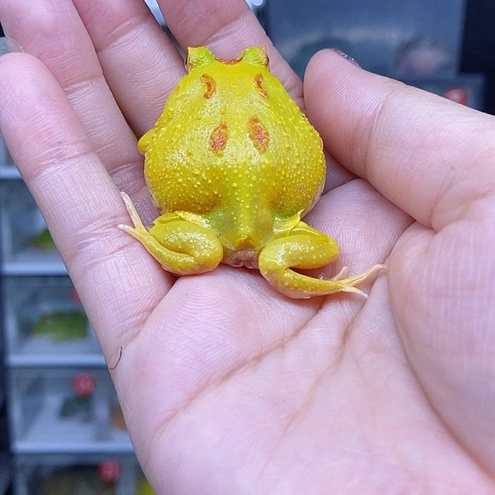 特价秒杀特价原价