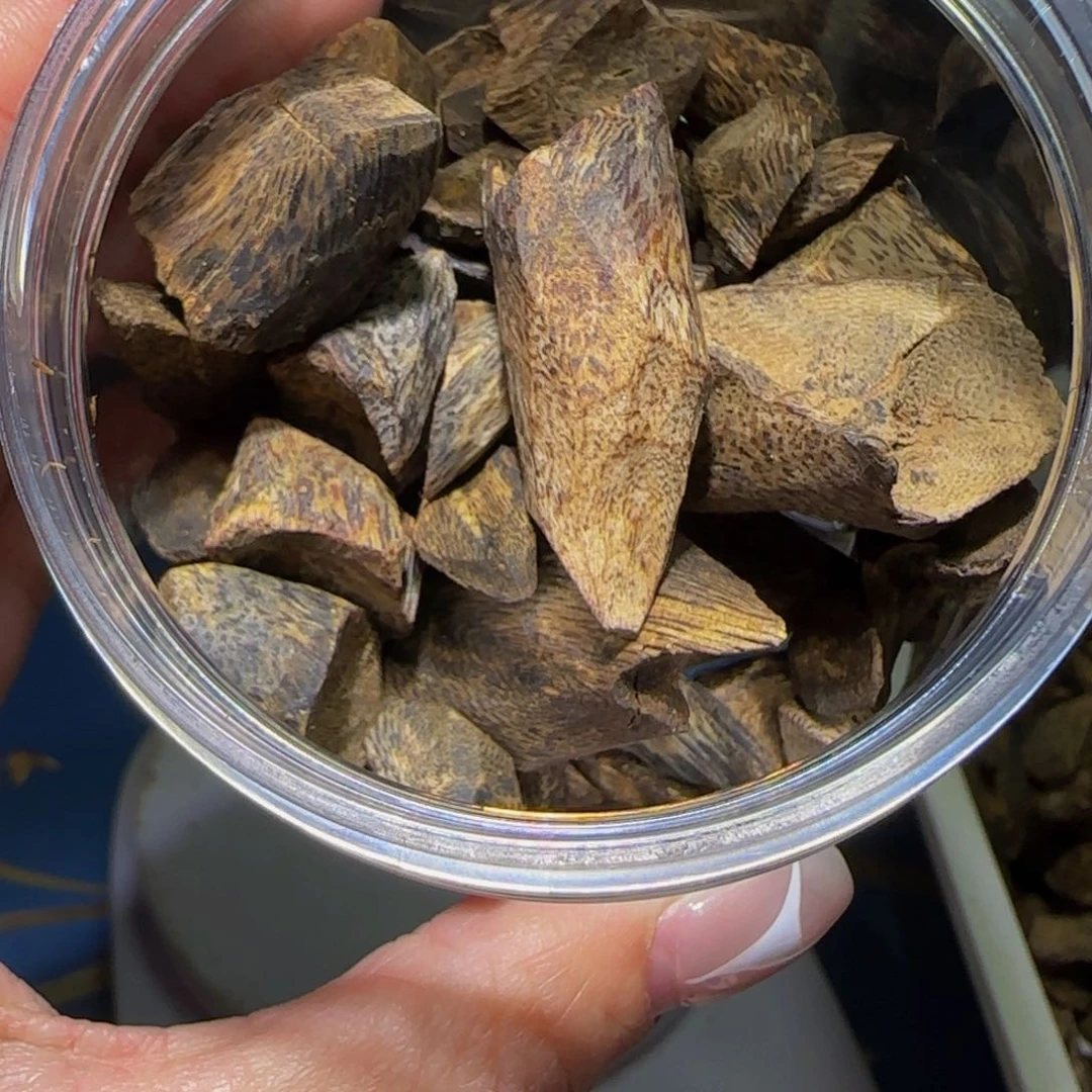 沉香手把件西沉香奇楠陆河树丁料35克