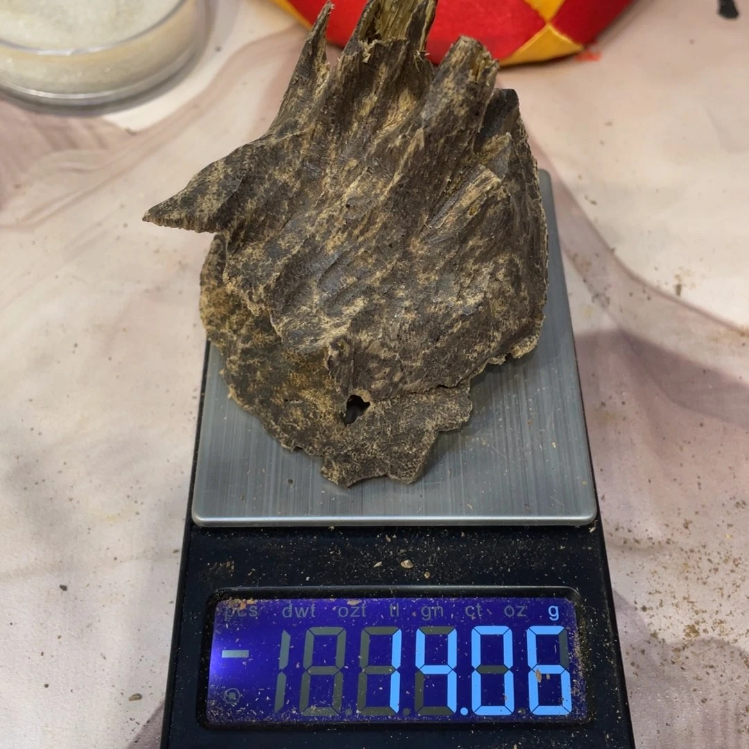 沉香碎屑沉香14克海南包头黎母山