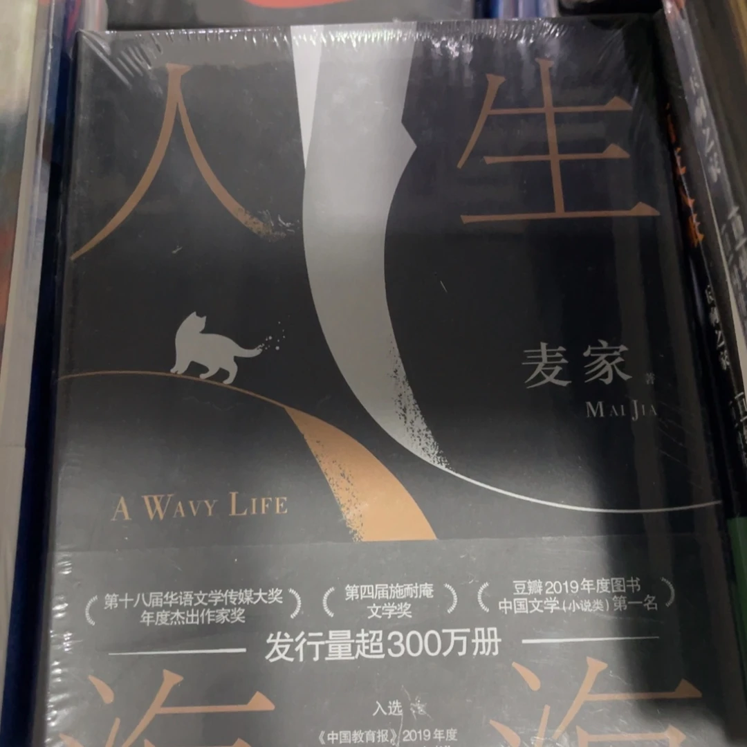 人生海海精装一个