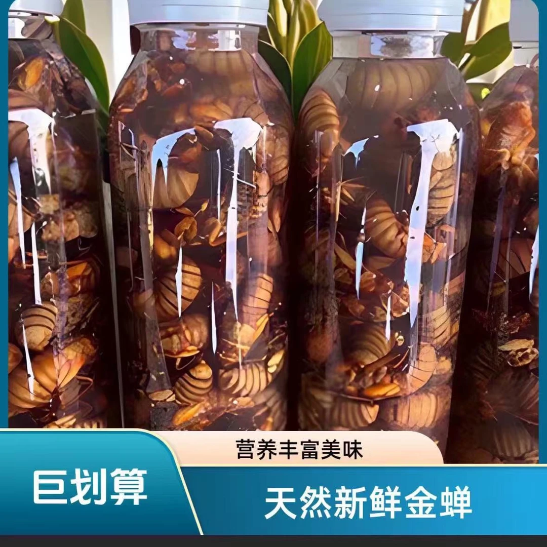 （618特惠）高山野生金蝉  爬叉 肉蛋 2瓶100只顺丰包邮冷冻发货