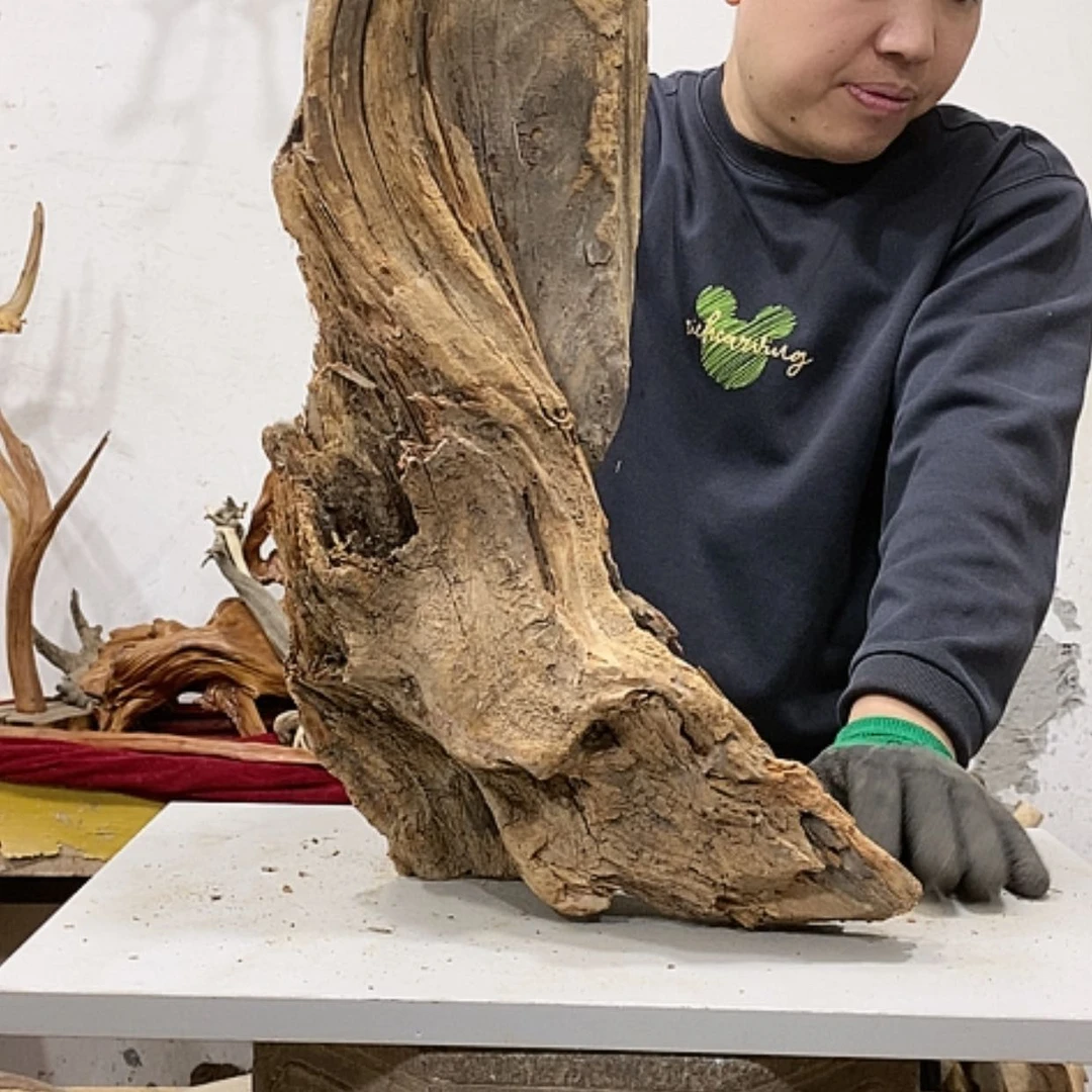 【闪购商品】柏木缘*艺我们都是好孩子