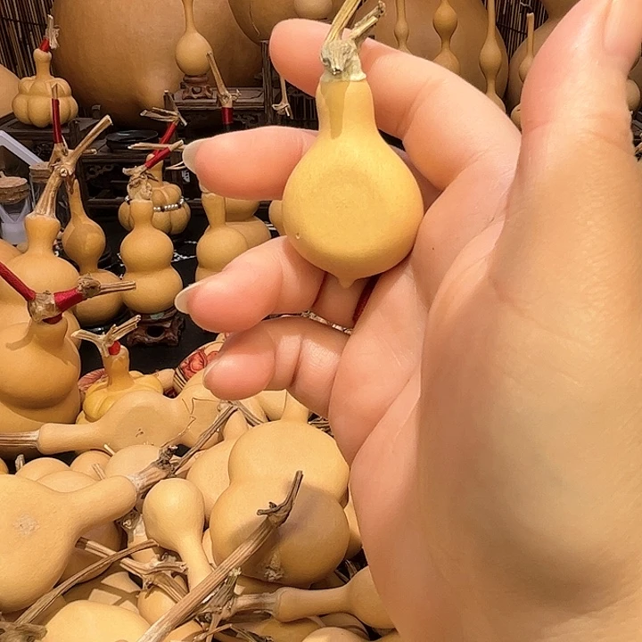 缘*葫芦葫芦葫芦葫芦葫芦