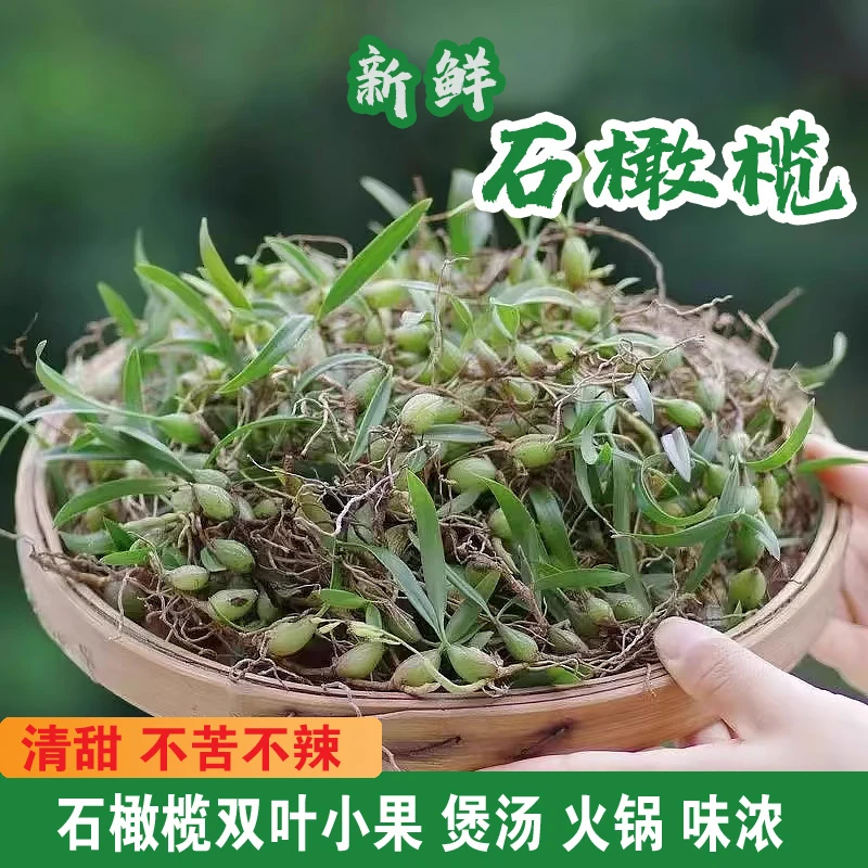 现采石橄榄新鲜双叶中小果石仙桃果上叶炖汤煲汤材料包邮