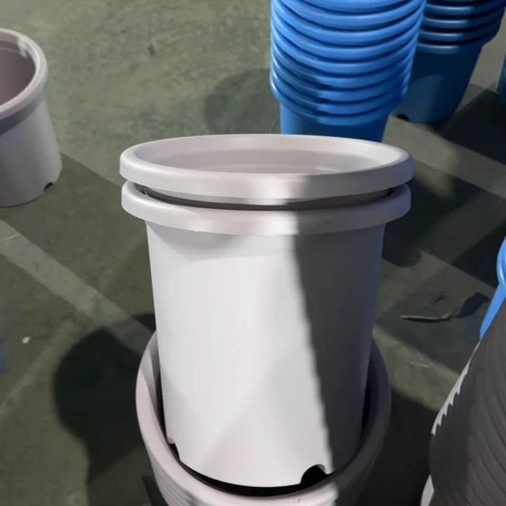 特价7号6个无托浅紫色