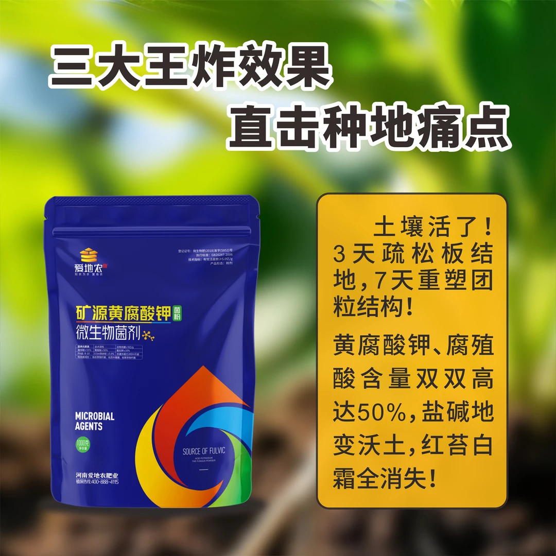 矿源黄腐酸钾微生物菌剂