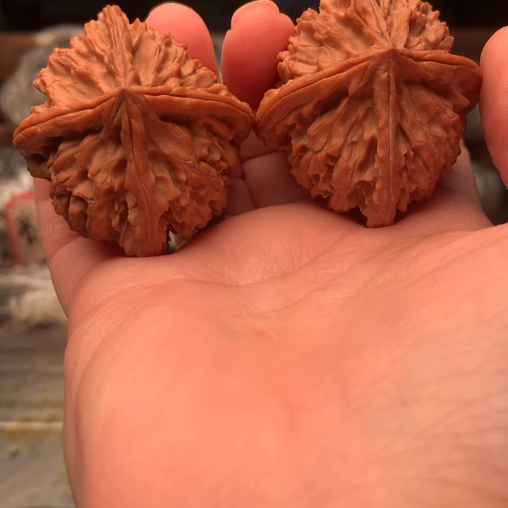 知***彼大叶紫檀（黑酸枝木类）