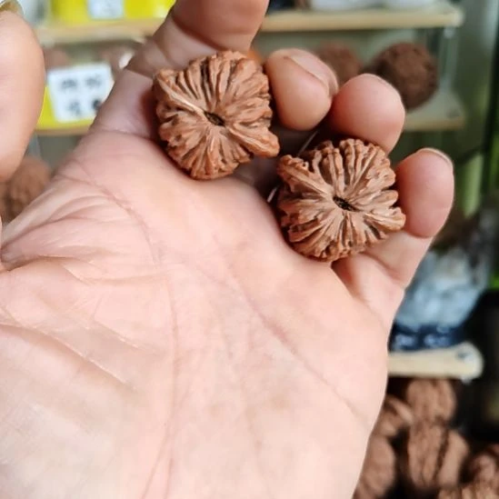 34加尺寸19楼，看好下单