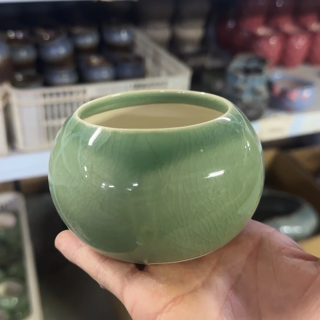 特价盆·天姿添香·福利局·凑9元发·