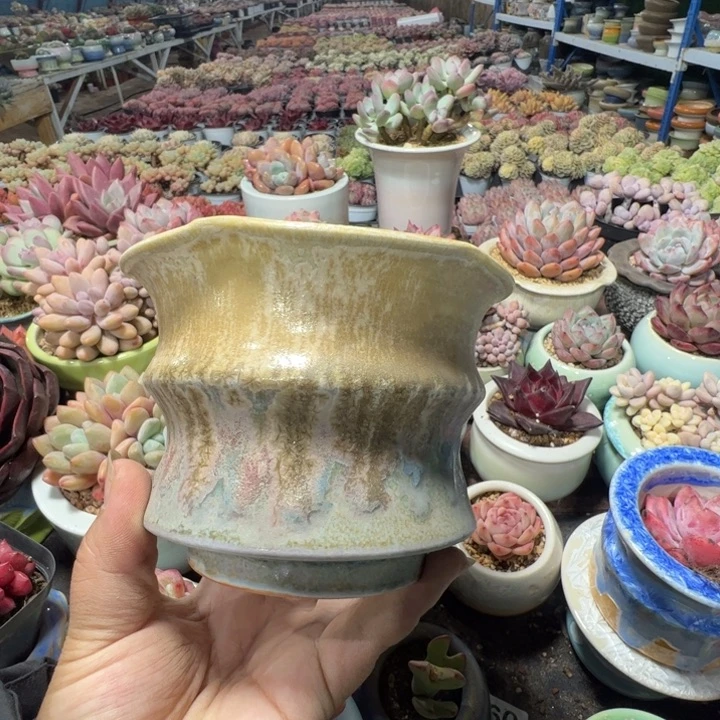 特价花盆满50发货 内口11