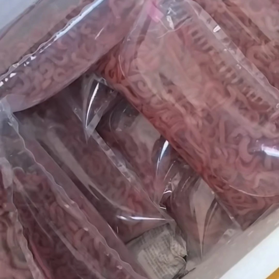 血虫赤虫海钓活饵广东省内发货顺丰配送圆岛海围饵