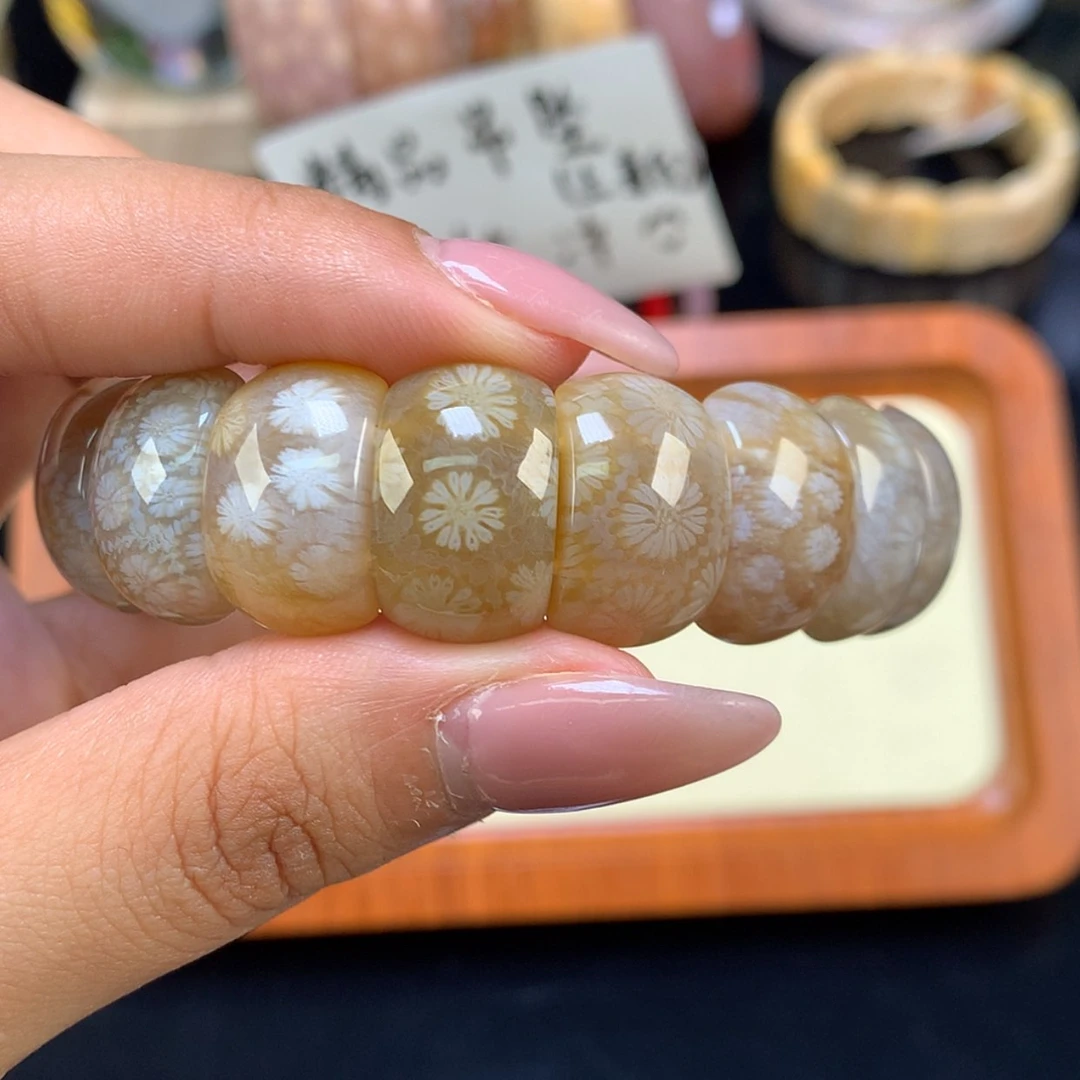 【闪购商品】颈饰未镶嵌硅化珊瑚（珊瑚玉）9号
