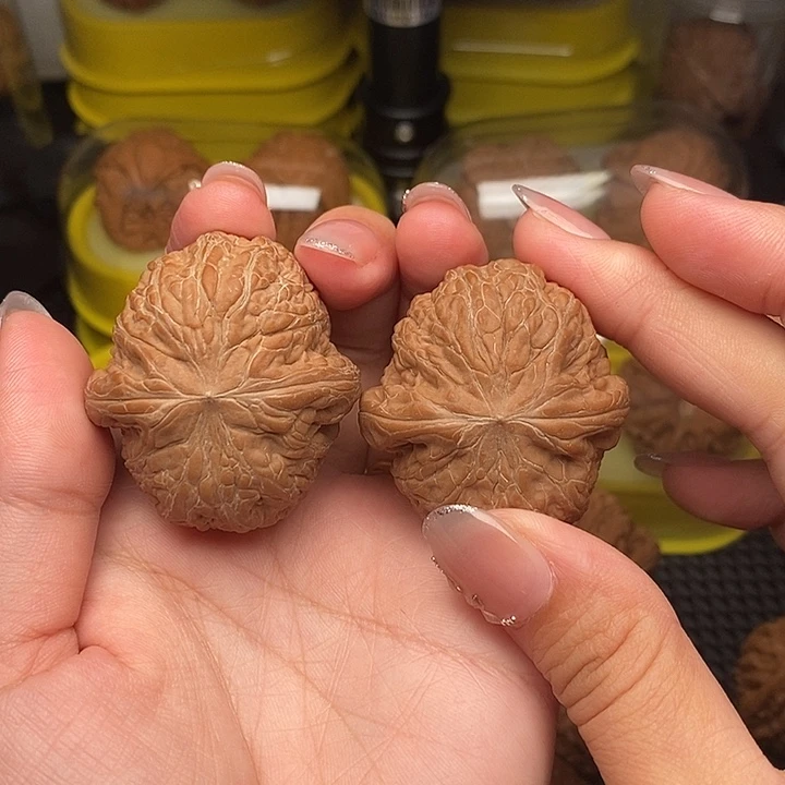 一***道41全品铁锤