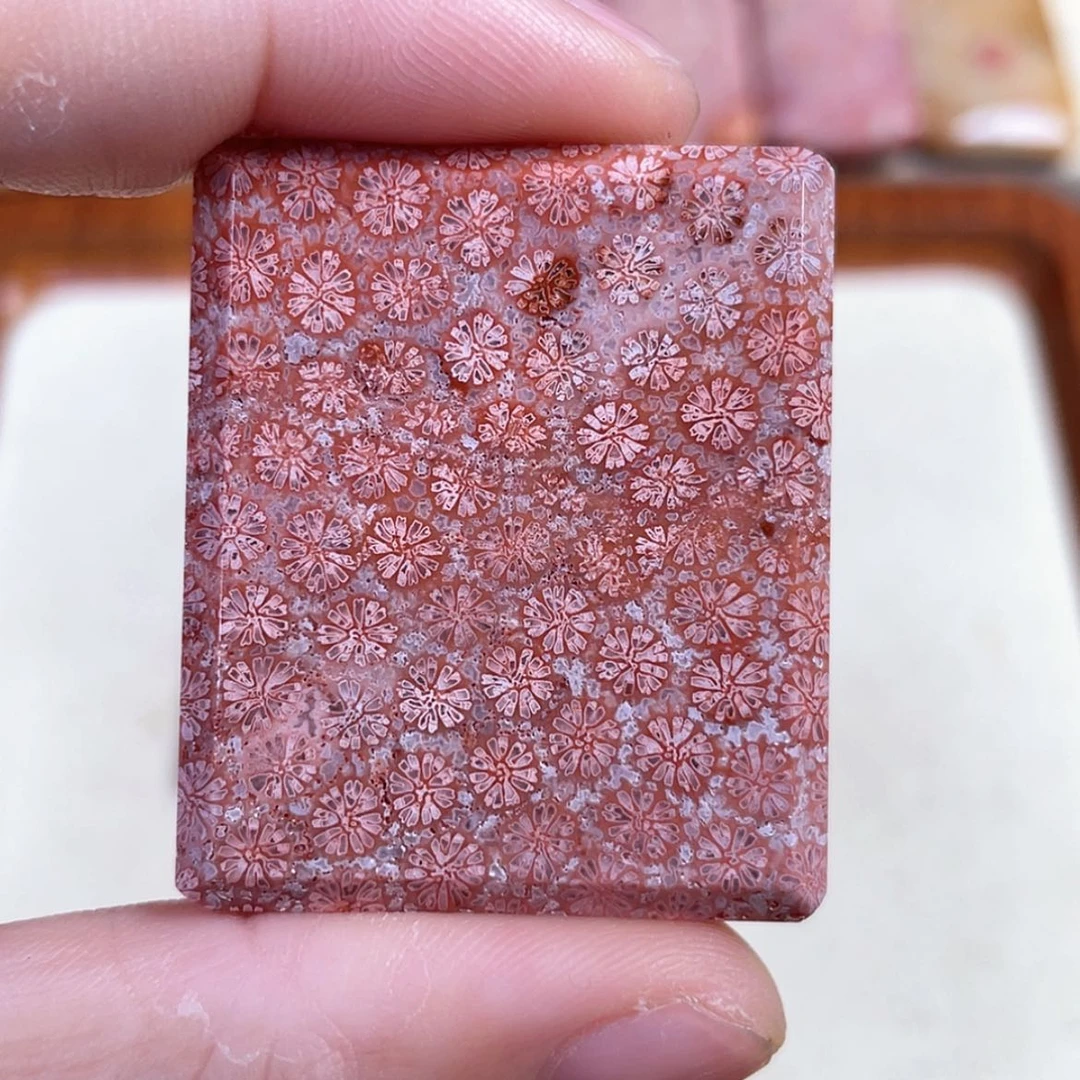 【闪购商品】硅化玉吊坠(赠链)未镶嵌t****w