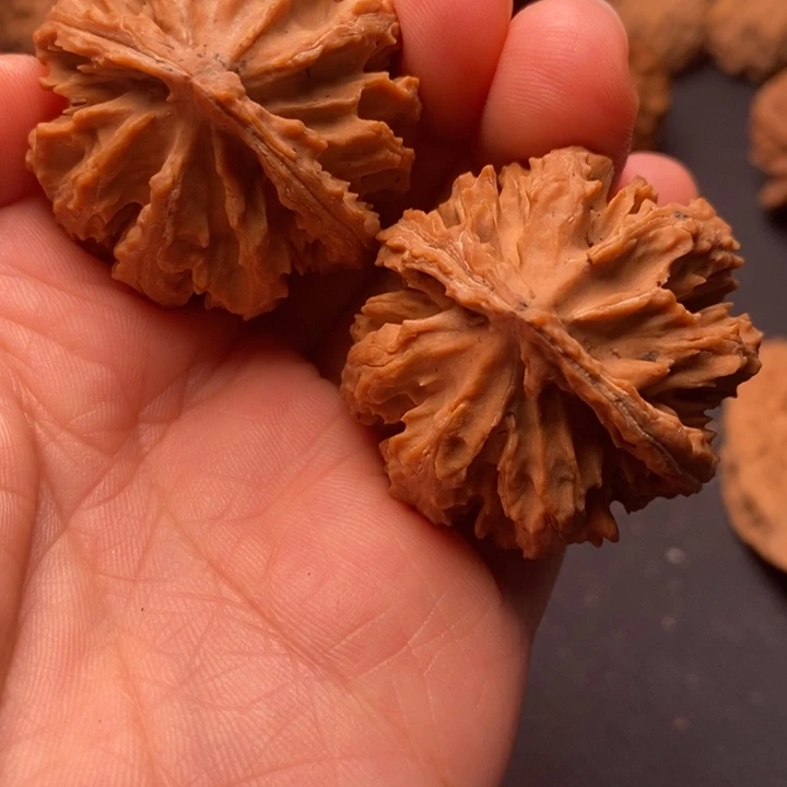 秦岭野生文玩核桃