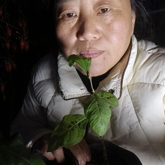 花***1无花朵15658565889