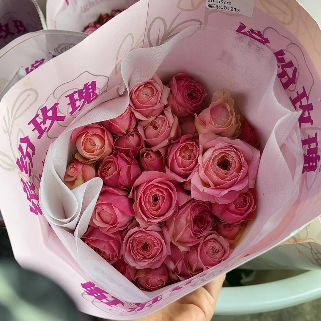 全部花苞缤纷（莓莓松饼）一扎