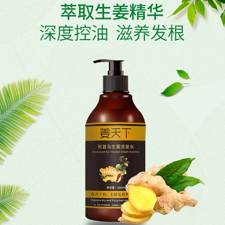 姜天下何首乌生姜洗发水500ml拍一发二控油保湿【分销备用】