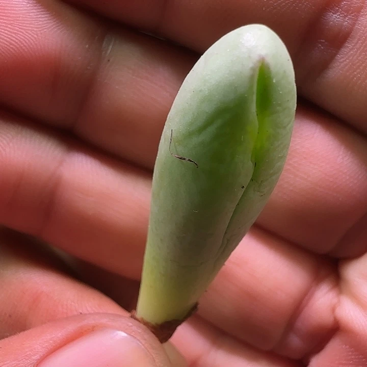 哈哈哈哈哈哈哈哈319