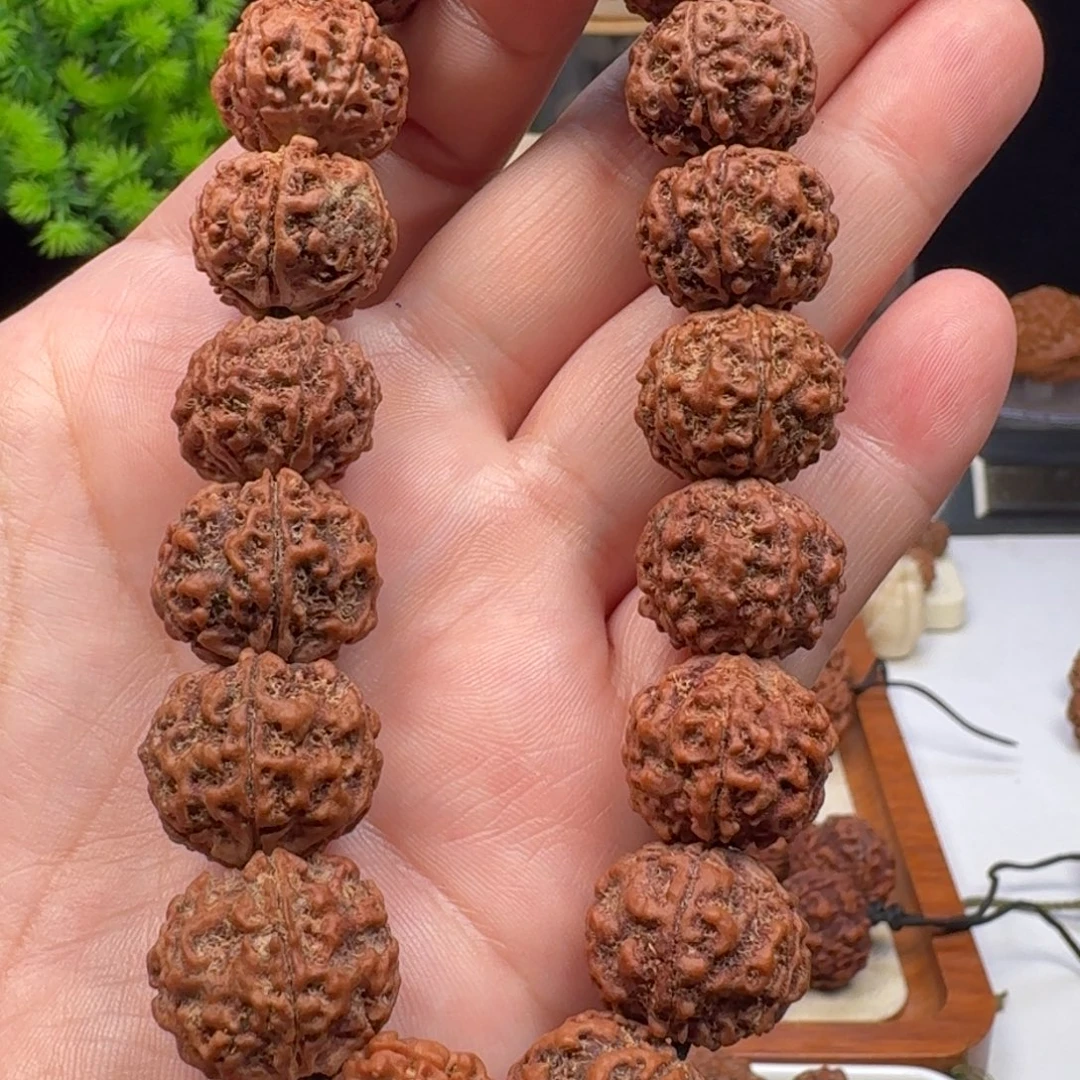 手串金刚菩提蜂窝双龙