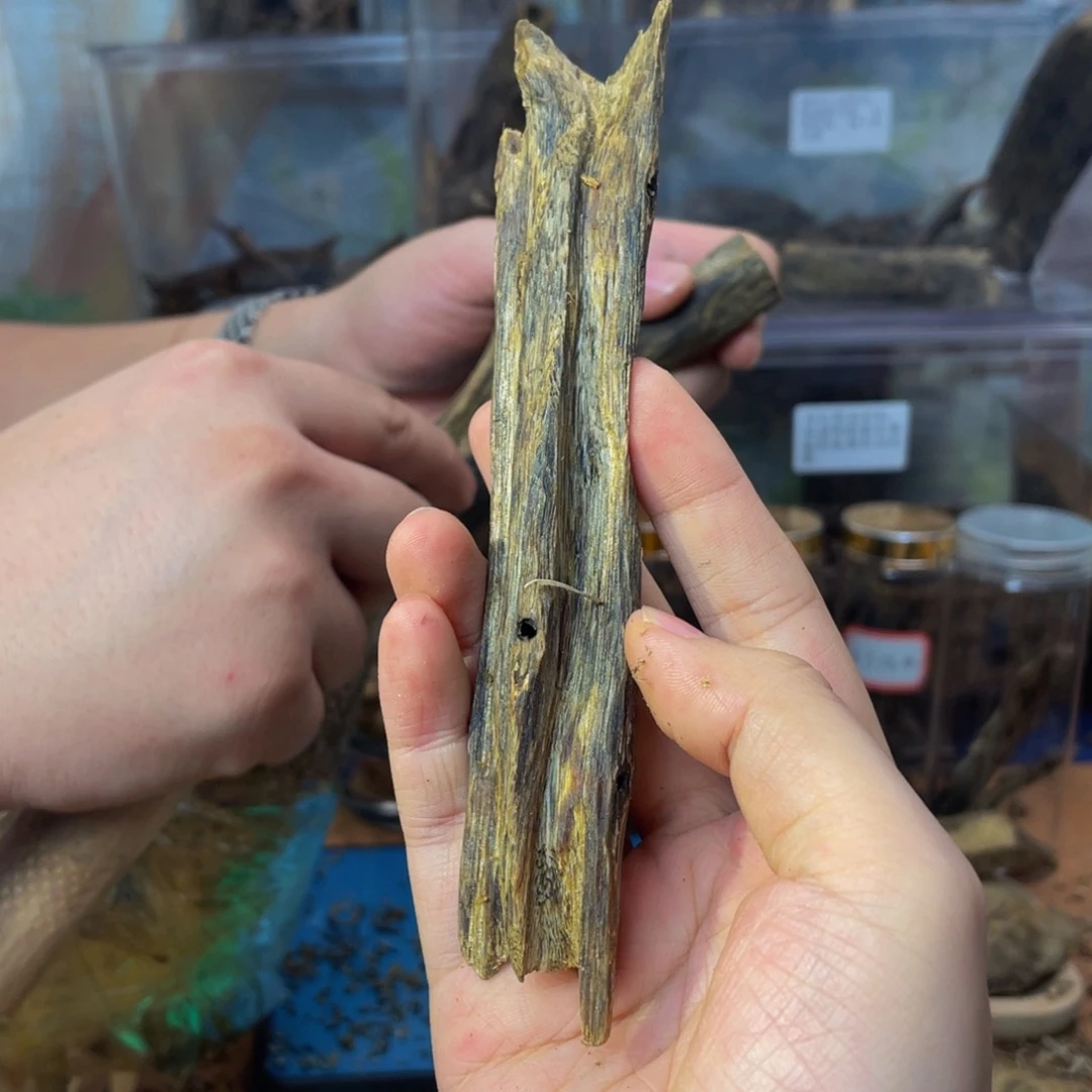 沉香沉香碎屑25克70