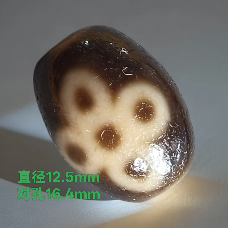 五眼闪电达洛高油老气佩珠单珠