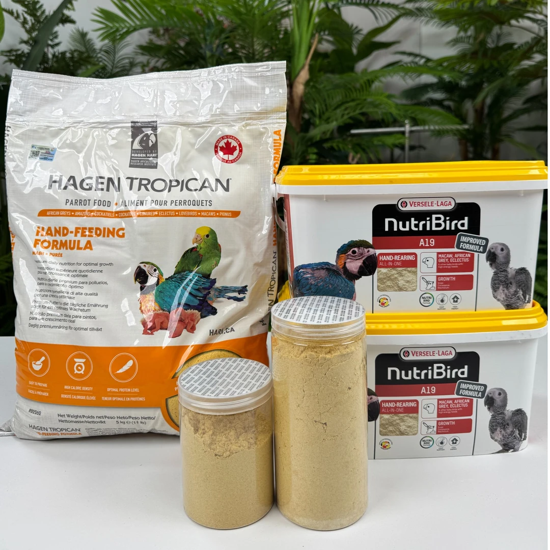 快速断奶装凡赛尔哈根1:1分装奶粉