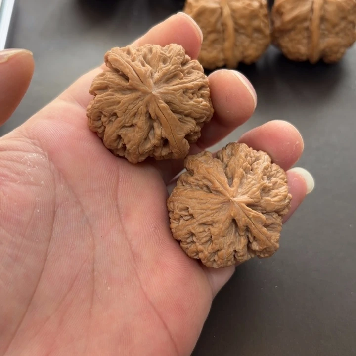 永***.大叶紫檀（黑酸枝木类）粗筋