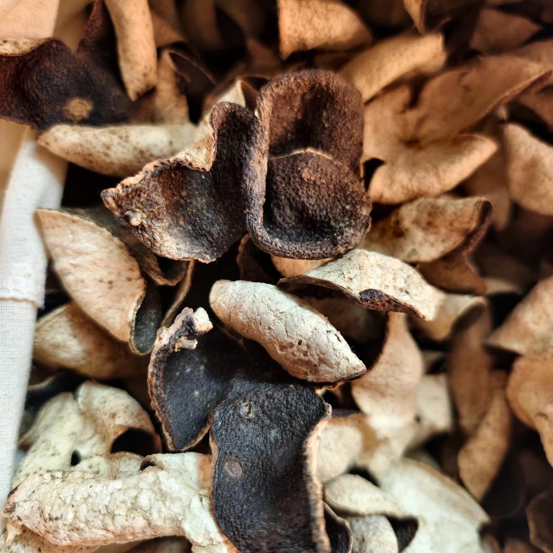 2017年天马圈枝十年老树 大青转二红有果蒂 薄荷味万金油