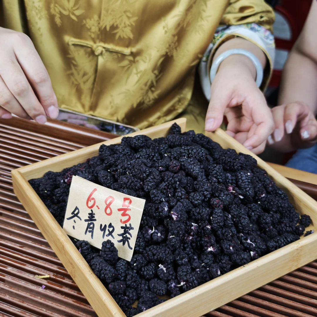 冻干老树黑桑葚 酥脆可口 冬青收茶