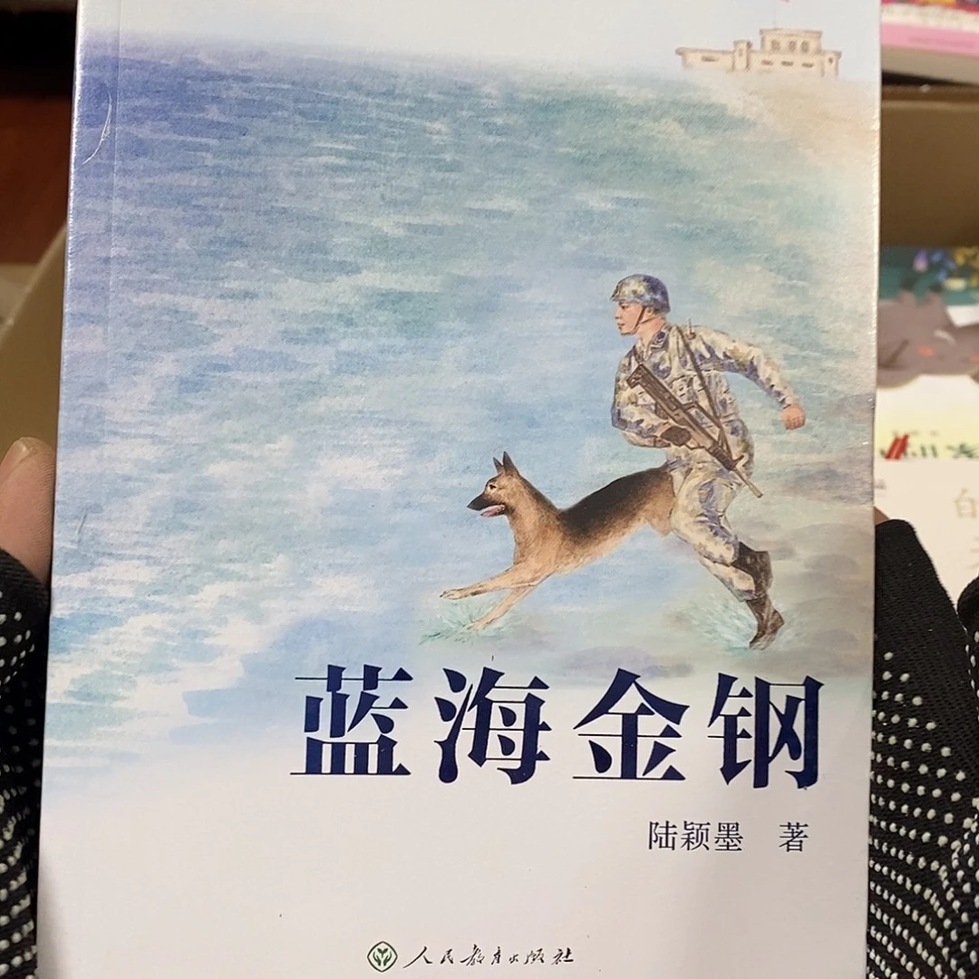 海军作家 蓝海金刚