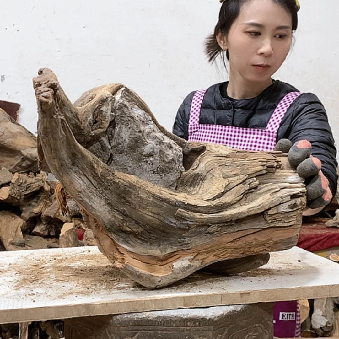 【闪购商品】柏木虎*我们都是好孩子