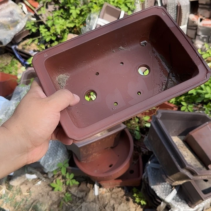 是因为它具有非常丰富且独特