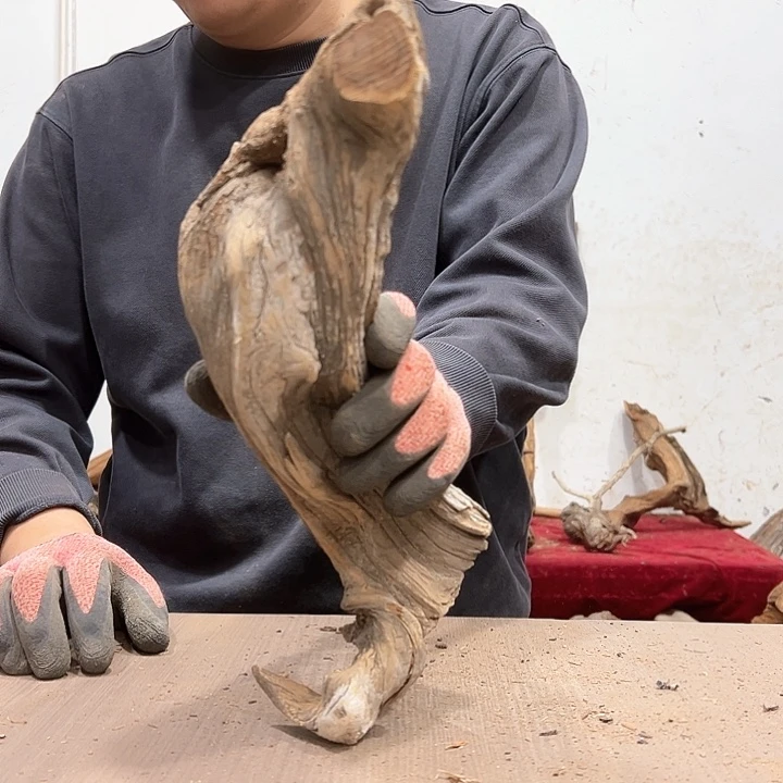 柏木大***柏我们的生活也会越来越美好吧