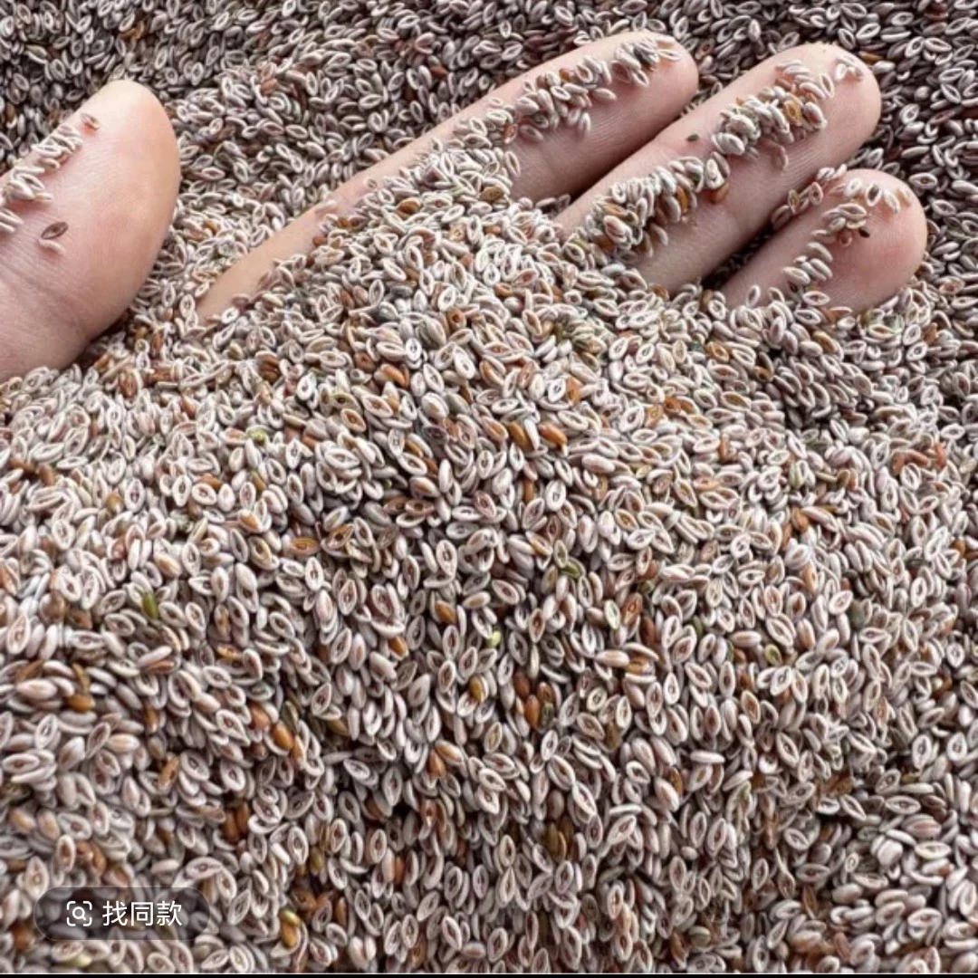 千祥云集～藏莲～荚～非香菇