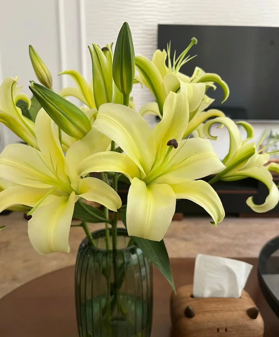 【源头优选】小皇帝香水百合 任意两单花材升级顺丰冷链或德邦快递