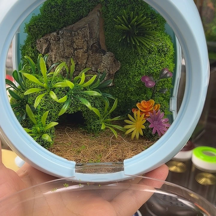 泡泡玛特带4条虫子