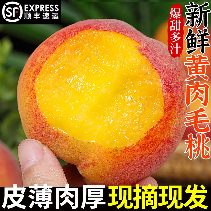 【顺丰包邮】砀山正宗露天黄金蜜7号黄桃当季现摘水果黄肉蜜桃大果