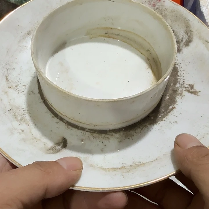 美***。扇子吃g刚果共和国个哥哥哥哥哈哈