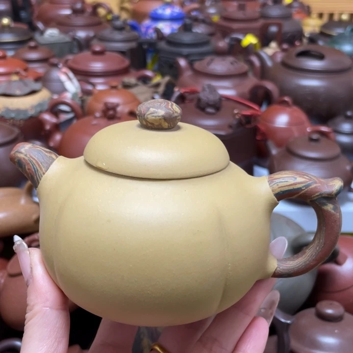 茶壶紫砂紫砂艺术作品