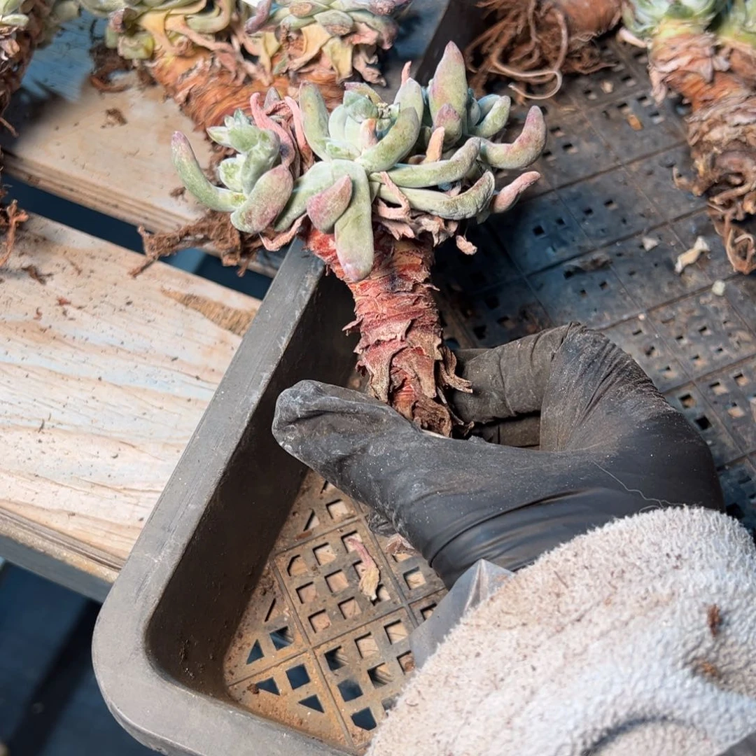 330哈哈哈哈哈哈哈哈