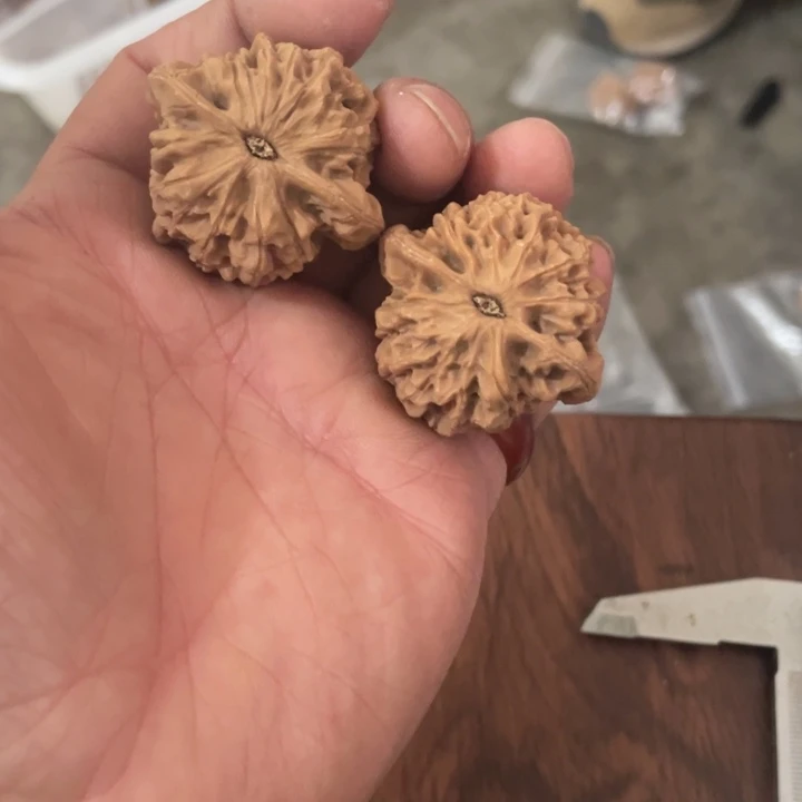 核桃手串/手链秦岭南侧和东北北部部分的