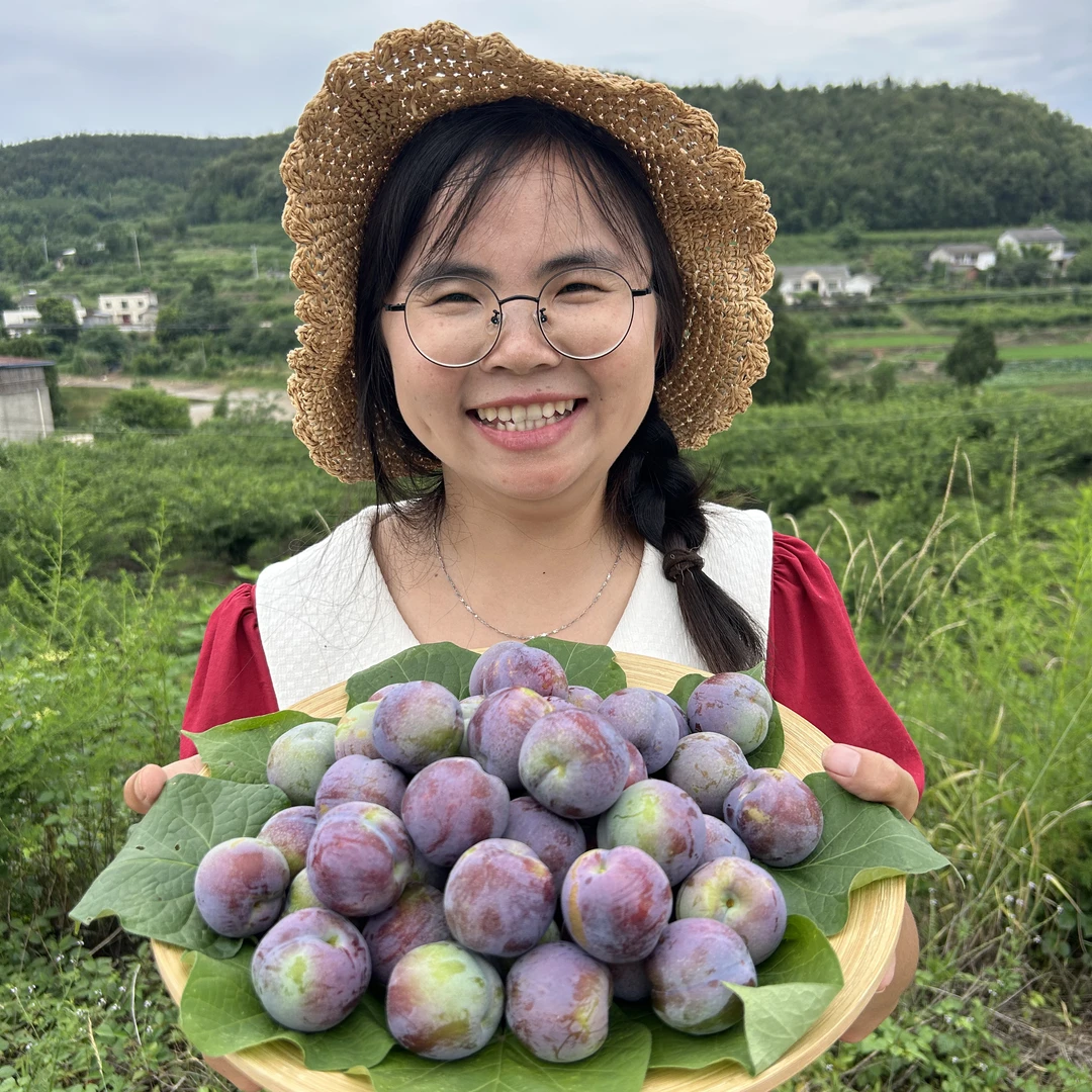 四川五月脆脆李，5斤装脆甜多汁现摘现发，包邮到家
