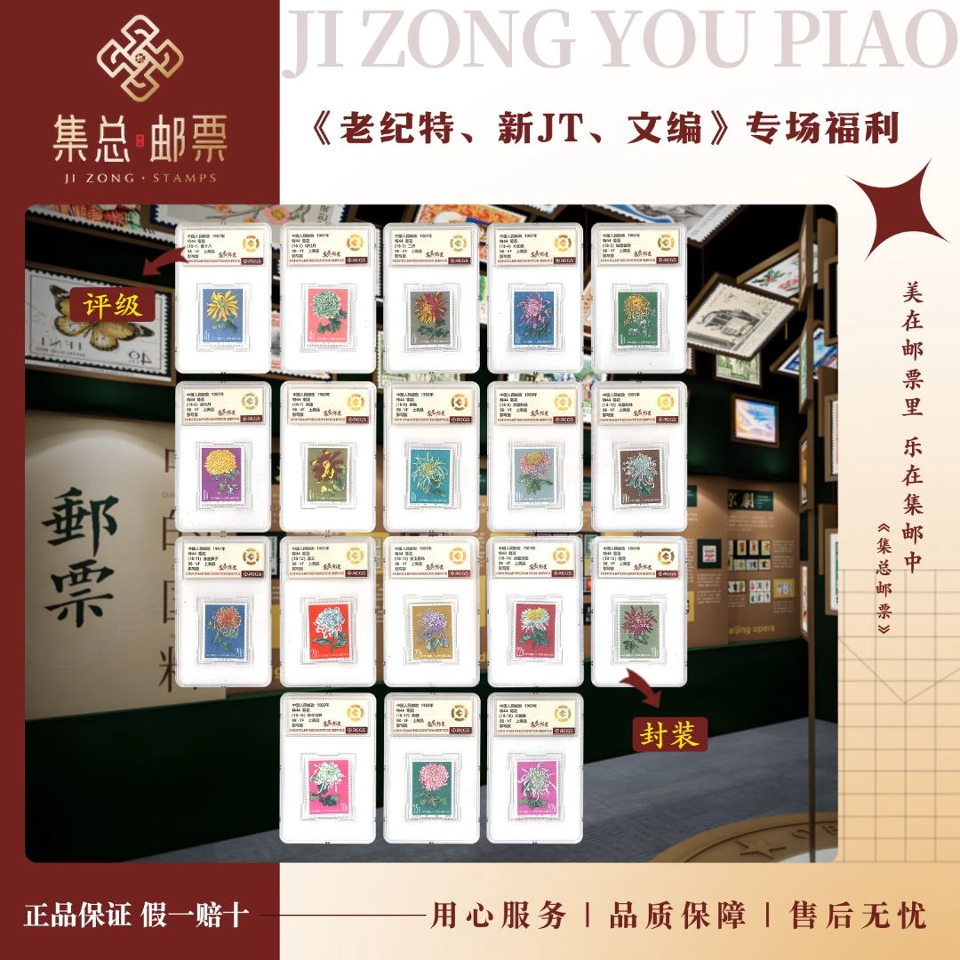 【集总邮票】 老纪特 特44菊花98分评级邮票集邮发行