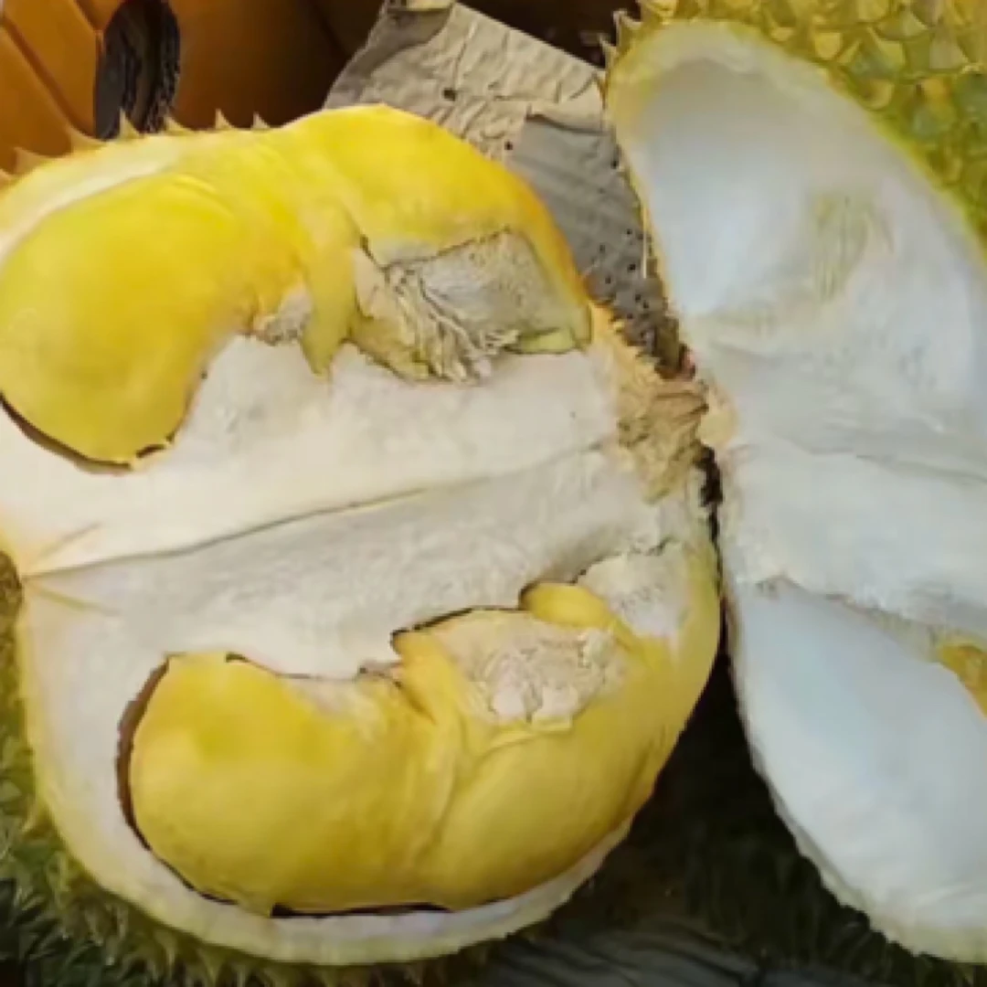 金枕榴莲（2斤 新鲜核小夹生偏熟瑕疵果 介意慎拍）金枕泰国东部