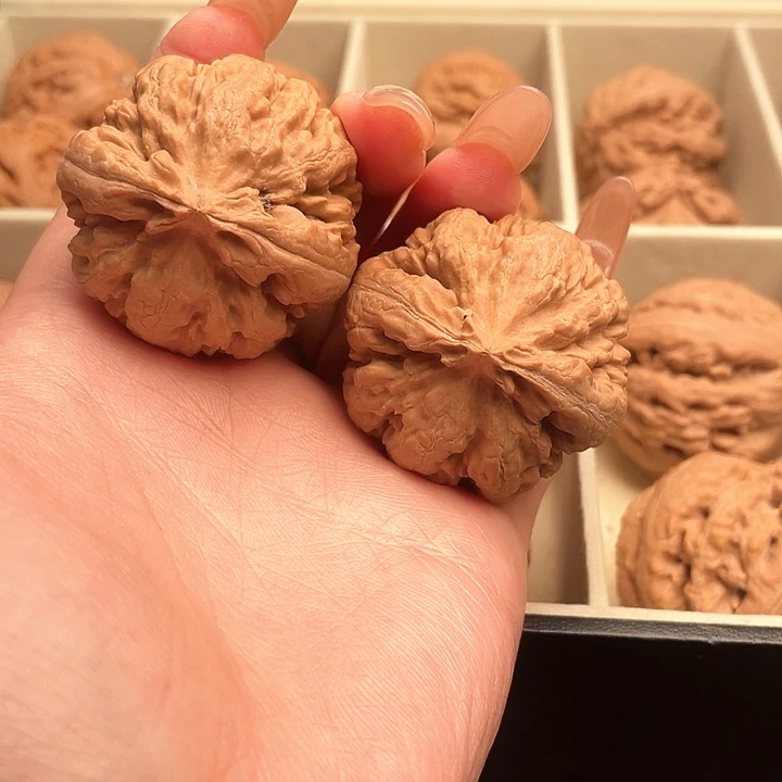 燃***肉霸王龙核桃尺寸39+